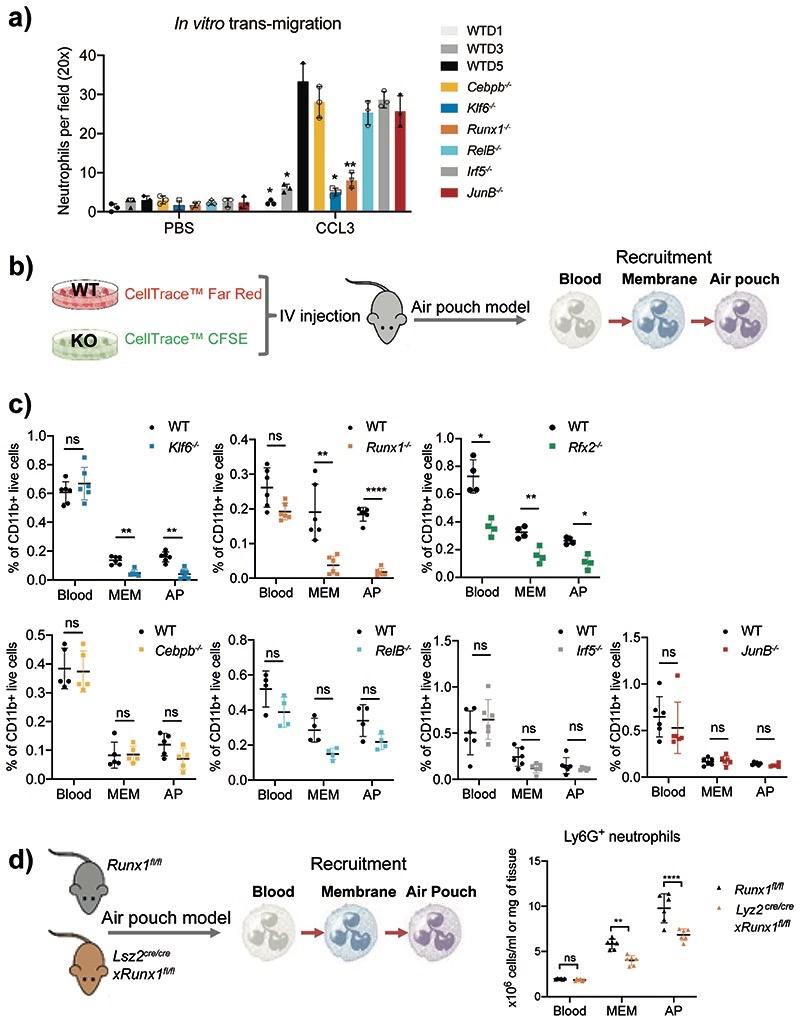 https://cdn.ncbi.nlm.nih.gov/pmc/blobs/bb09/7611586/8da821e2cd62/EMS127176-f004.jpg