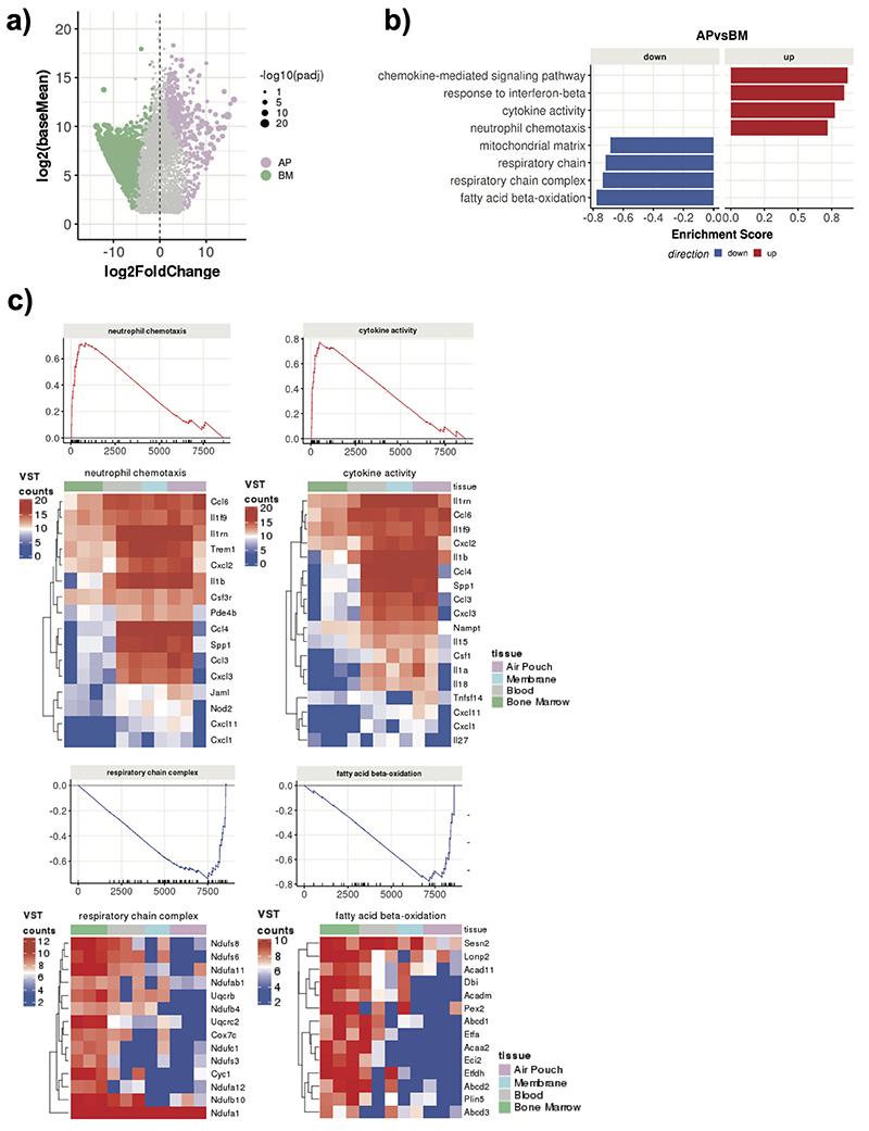 https://cdn.ncbi.nlm.nih.gov/pmc/blobs/bb09/7611586/92aec3153a59/EMS127176-f009.jpg