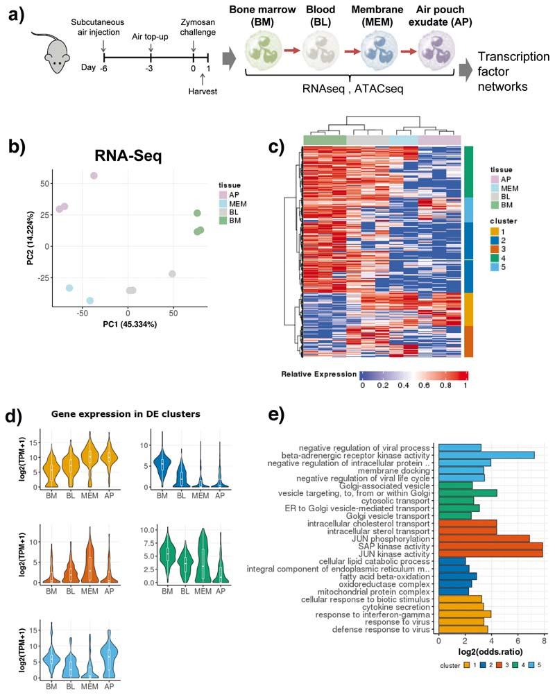 https://cdn.ncbi.nlm.nih.gov/pmc/blobs/bb09/7611586/a08711a66e02/EMS127176-f001.jpg