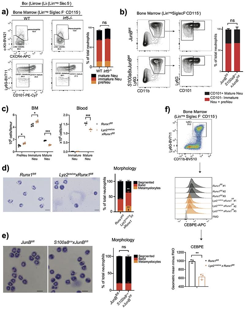 https://cdn.ncbi.nlm.nih.gov/pmc/blobs/bb09/7611586/a9e56543ffb0/EMS127176-f013.jpg