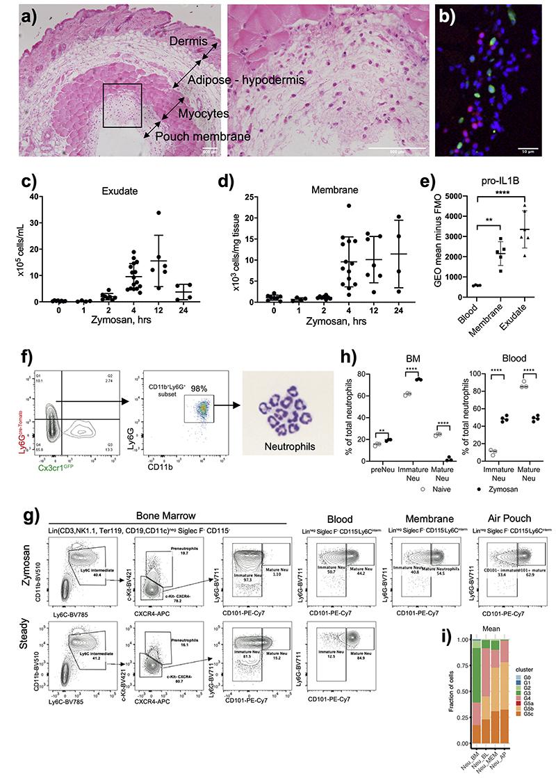 https://cdn.ncbi.nlm.nih.gov/pmc/blobs/bb09/7611586/b1040d106012/EMS127176-f008.jpg