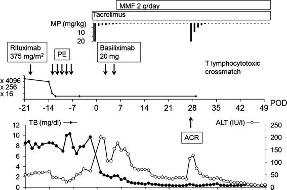 https://cdn.ncbi.nlm.nih.gov/pmc/blobs/bb0b/3336056/b01477b3da74/535_2012_530_Fig1_HTML.jpg