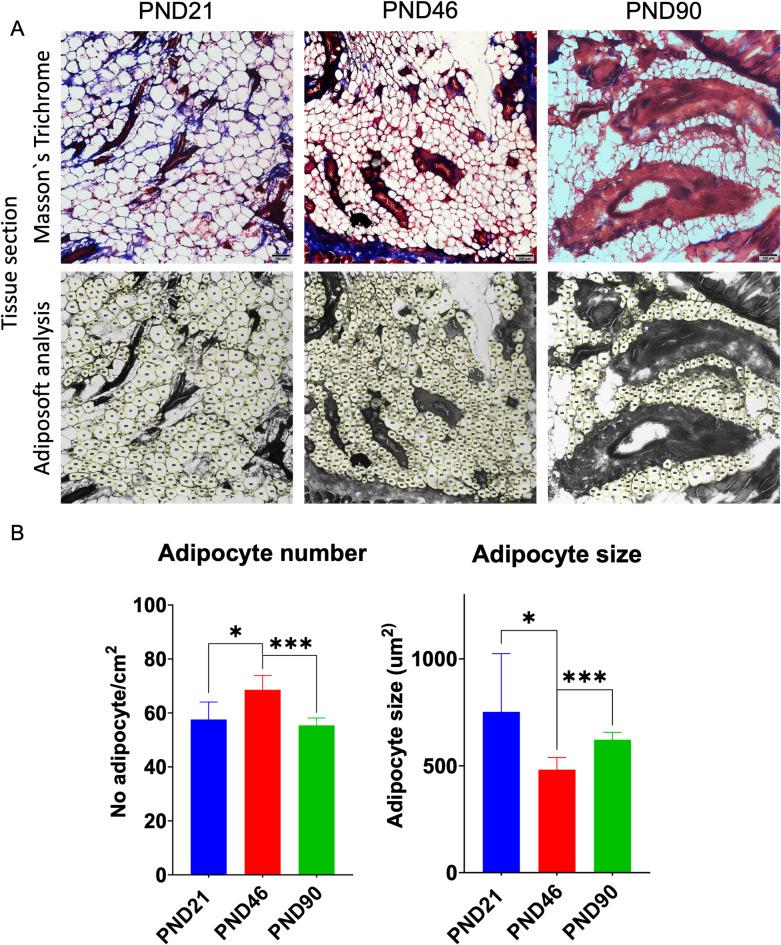 https://cdn.ncbi.nlm.nih.gov/pmc/blobs/bb0c/11986145/a12768ec3011/41598_2025_97532_Fig6_HTML.jpg