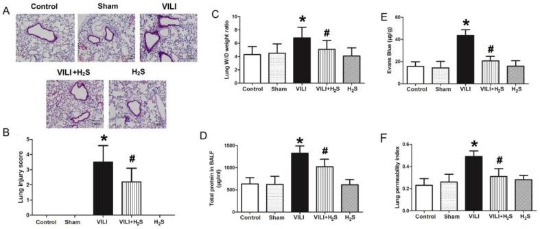 https://cdn.ncbi.nlm.nih.gov/pmc/blobs/bb0e/6909965/2d312bf11989/ijbsv15p2872g001.jpg