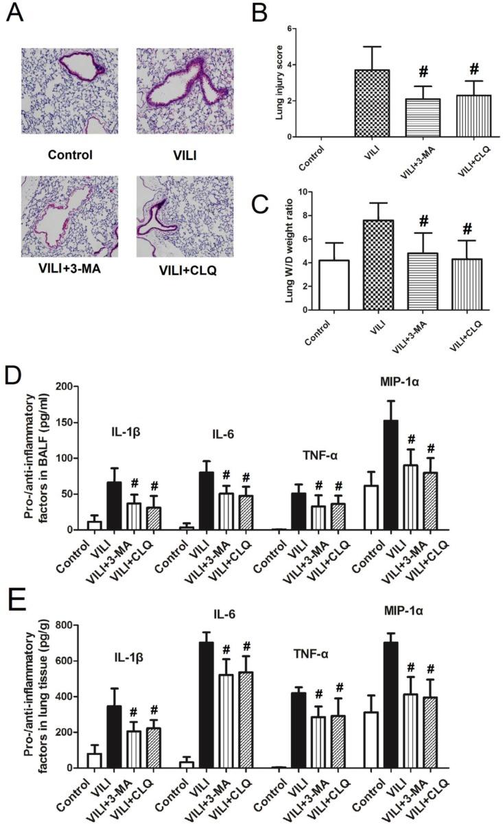 https://cdn.ncbi.nlm.nih.gov/pmc/blobs/bb0e/6909965/5a663f22c203/ijbsv15p2872g006.jpg
