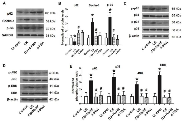 https://cdn.ncbi.nlm.nih.gov/pmc/blobs/bb0e/6909965/871c02d3c398/ijbsv15p2872g009.jpg