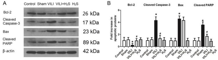 https://cdn.ncbi.nlm.nih.gov/pmc/blobs/bb0e/6909965/92879eca5ef7/ijbsv15p2872g003.jpg