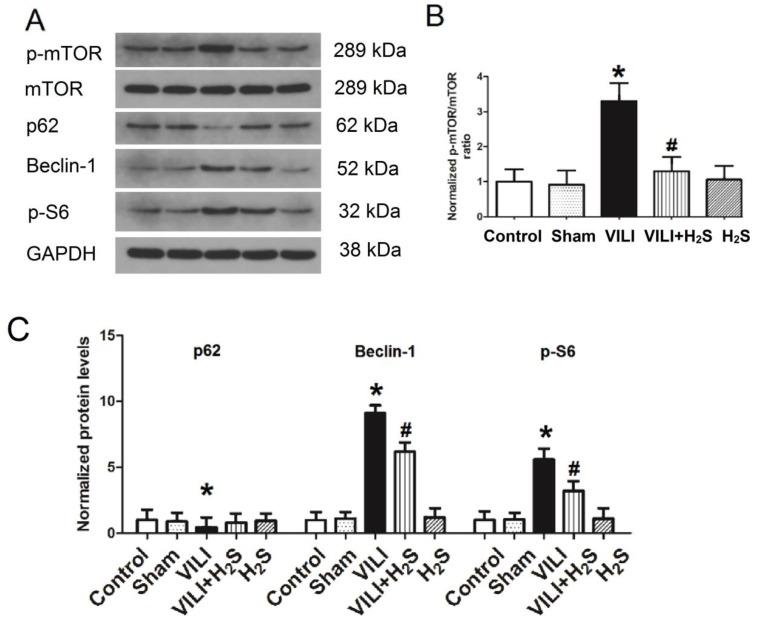 https://cdn.ncbi.nlm.nih.gov/pmc/blobs/bb0e/6909965/9eac1f13bd53/ijbsv15p2872g005.jpg