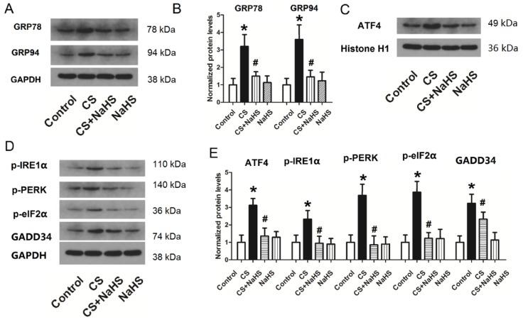 https://cdn.ncbi.nlm.nih.gov/pmc/blobs/bb0e/6909965/cba5049660fb/ijbsv15p2872g008.jpg