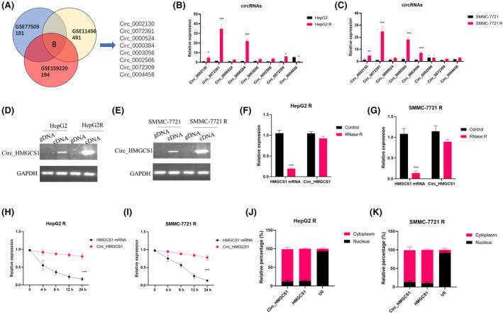https://cdn.ncbi.nlm.nih.gov/pmc/blobs/bb11/10915820/9a440b6dd30f/JCMM-28-e18137-g005.jpg