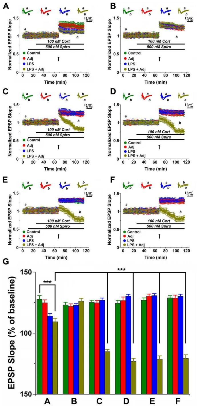 https://cdn.ncbi.nlm.nih.gov/pmc/blobs/bb11/3850065/18b3241cf23d/fnmol-06-00046-g004.jpg