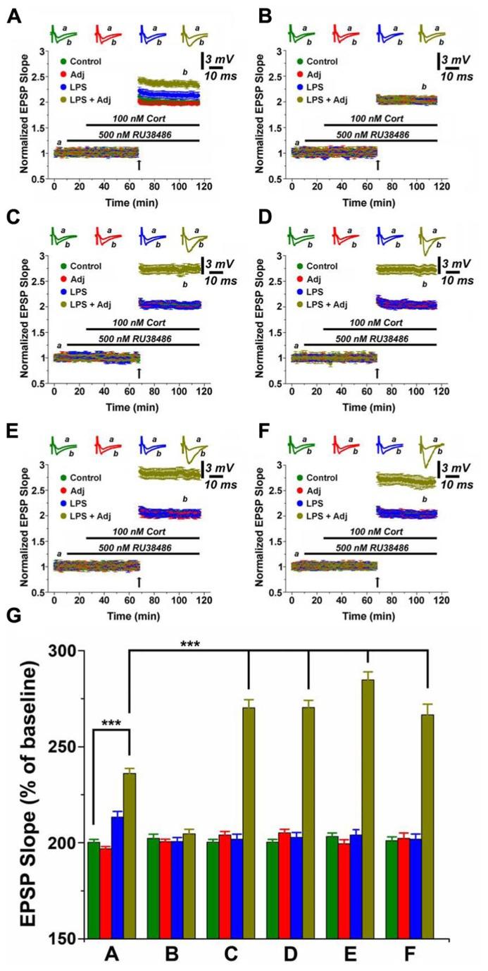 https://cdn.ncbi.nlm.nih.gov/pmc/blobs/bb11/3850065/d058a5a17a16/fnmol-06-00046-g003.jpg