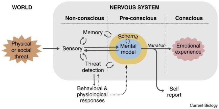 https://cdn.ncbi.nlm.nih.gov/pmc/blobs/bb12/10886536/808740dedaea/biomedicines-12-00407-g001.jpg