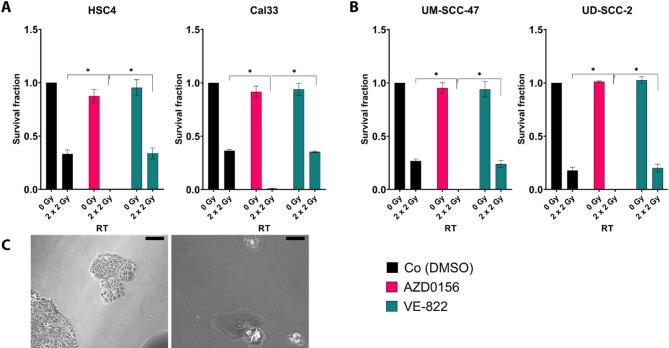 https://cdn.ncbi.nlm.nih.gov/pmc/blobs/bb12/12397261/a4e72b45901e/41598_2025_17858_Fig1_HTML.jpg