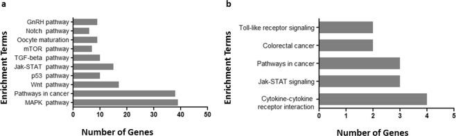 https://cdn.ncbi.nlm.nih.gov/pmc/blobs/bb12/6610114/e0cb4b488aa5/41598_2019_45642_Fig2_HTML.jpg