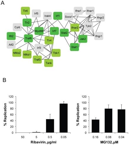 https://cdn.ncbi.nlm.nih.gov/pmc/blobs/bb13/3127947/ea267e2571cd/pone.0020252.g005.jpg