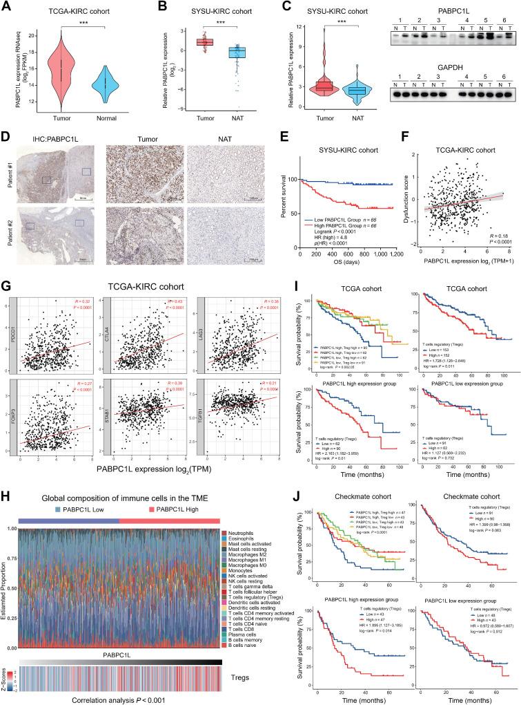 https://cdn.ncbi.nlm.nih.gov/pmc/blobs/bb14/11094425/2e9088261273/1659fig1.jpg