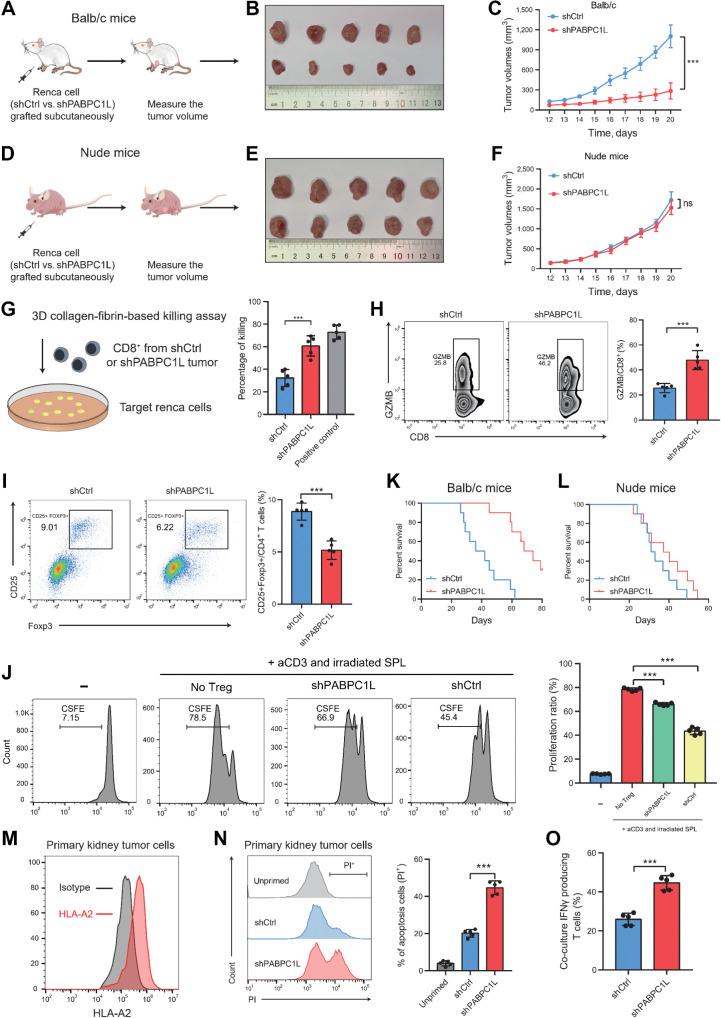 https://cdn.ncbi.nlm.nih.gov/pmc/blobs/bb14/11094425/7450c08e6981/1659fig2.jpg