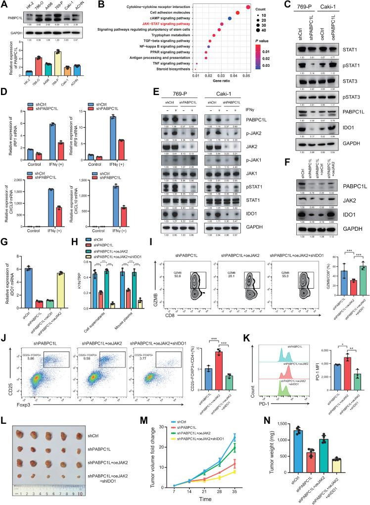 https://cdn.ncbi.nlm.nih.gov/pmc/blobs/bb14/11094425/b46b0bdb212f/1659fig4.jpg