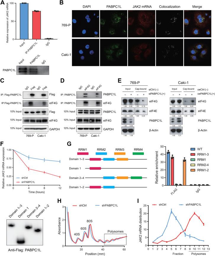 https://cdn.ncbi.nlm.nih.gov/pmc/blobs/bb14/11094425/d1bf58cbf424/1659fig5.jpg