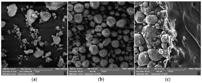 https://cdn.ncbi.nlm.nih.gov/pmc/blobs/bb15/11054669/f0413e334912/polymers-16-01077-g005a.jpg