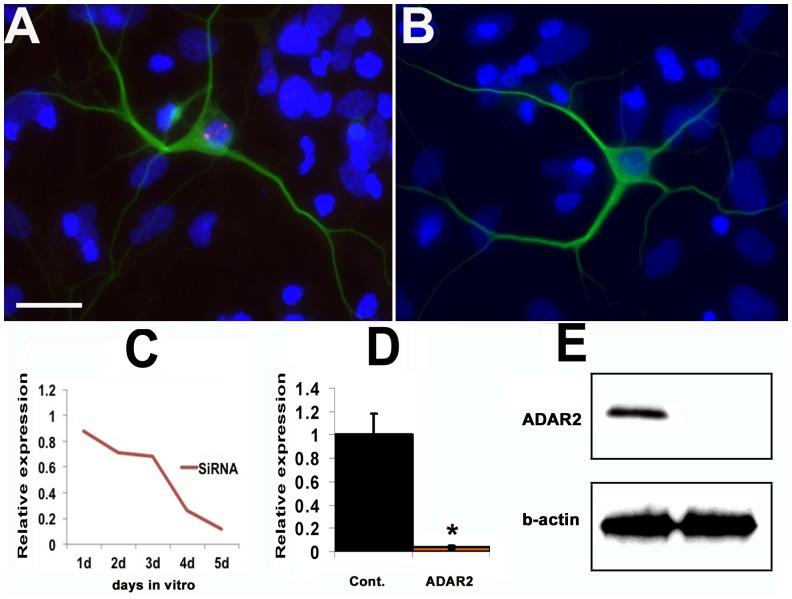 https://cdn.ncbi.nlm.nih.gov/pmc/blobs/bb16/3946738/2c0a9f64c6dd/pone.0091288.g003.jpg