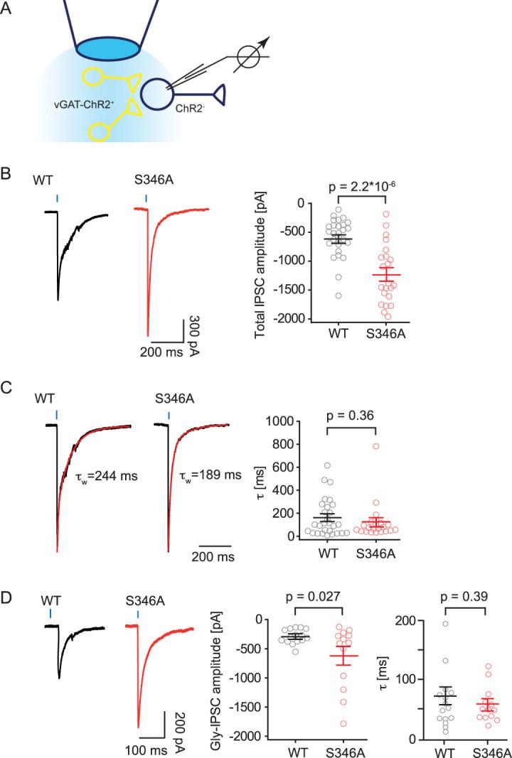 https://cdn.ncbi.nlm.nih.gov/pmc/blobs/bb17/8374710/59f27c88bcfd/jop-162-2436-g002.jpg