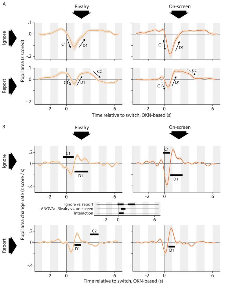 https://cdn.ncbi.nlm.nih.gov/pmc/blobs/bb19/8378849/4970da213a94/elife-66161-fig2.jpg