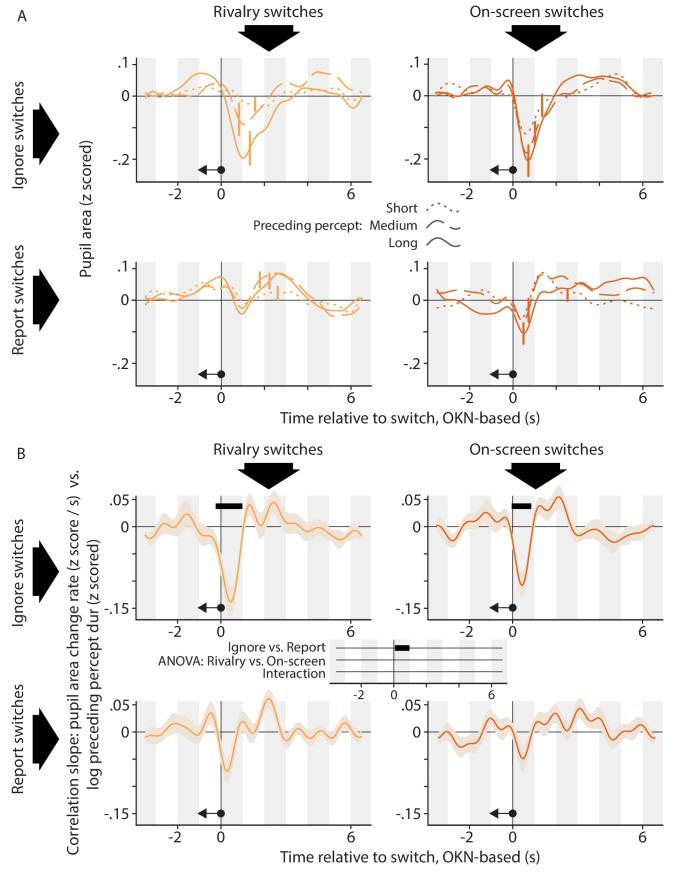 https://cdn.ncbi.nlm.nih.gov/pmc/blobs/bb19/8378849/cd906c1ff7fc/elife-66161-fig5.jpg