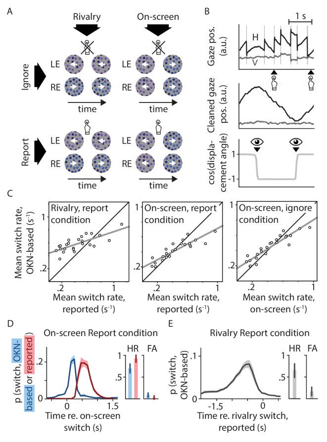 https://cdn.ncbi.nlm.nih.gov/pmc/blobs/bb19/8378849/fe6ef7d36ce9/elife-66161-fig1.jpg