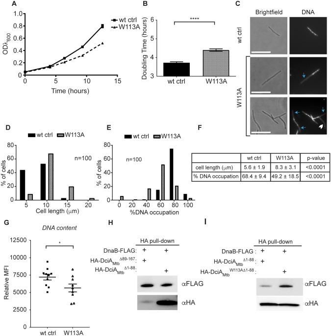 https://cdn.ncbi.nlm.nih.gov/pmc/blobs/bb1c/5720831/040e59492652/pgen.1007115.g008.jpg