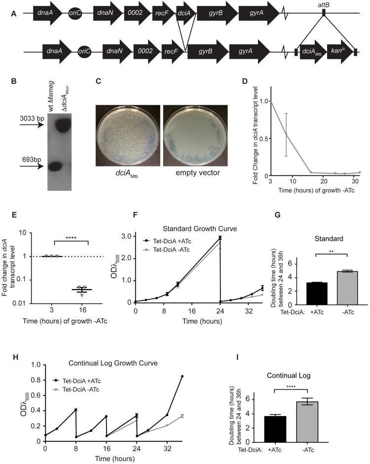 https://cdn.ncbi.nlm.nih.gov/pmc/blobs/bb1c/5720831/68da195c020e/pgen.1007115.g002.jpg