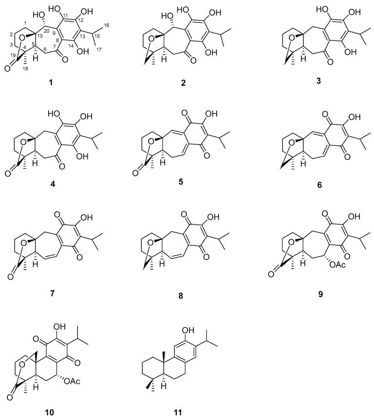 https://cdn.ncbi.nlm.nih.gov/pmc/blobs/bb1d/10975418/b987f4caddf7/molecules-29-01226-g001.jpg