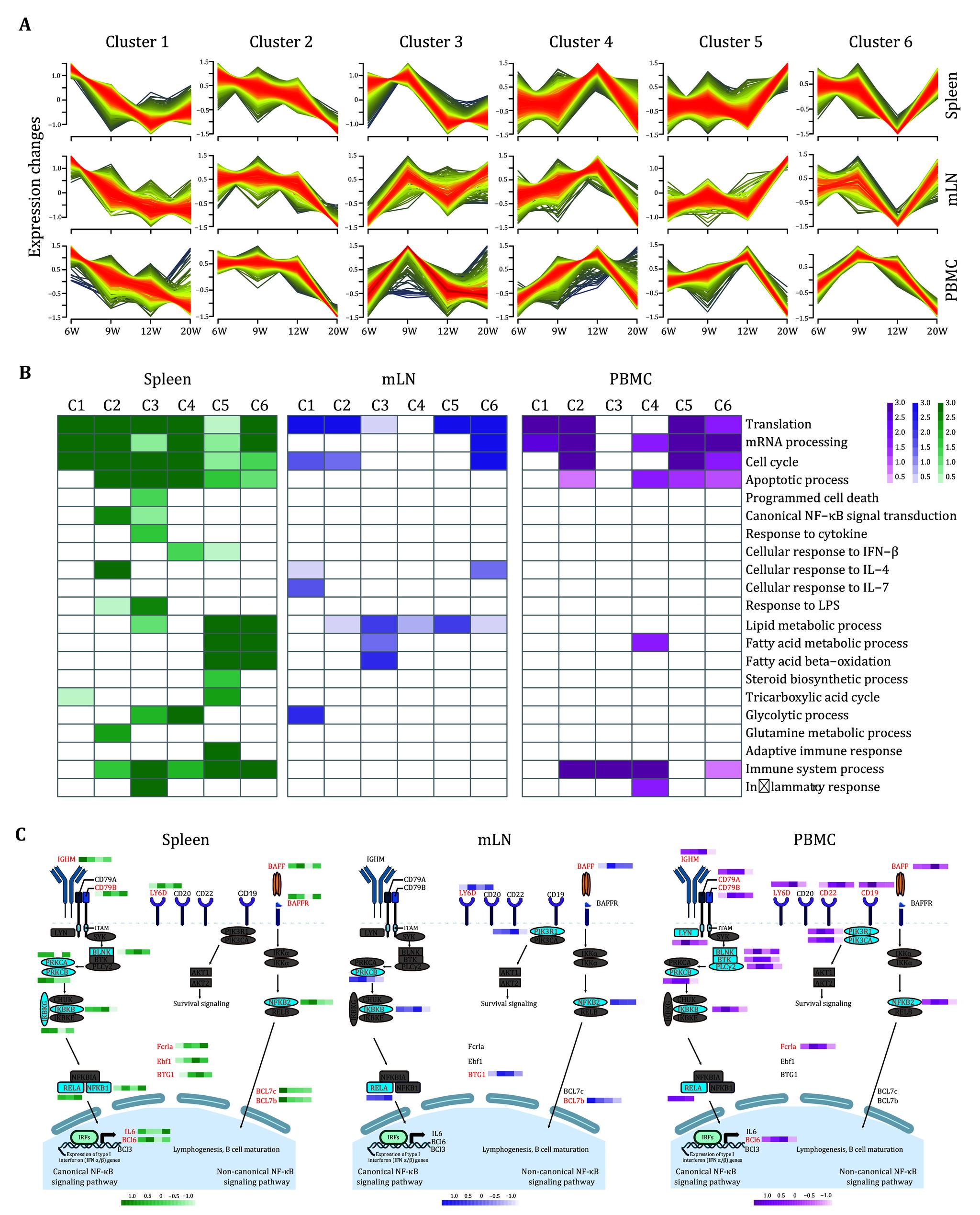 https://cdn.ncbi.nlm.nih.gov/pmc/blobs/bb1d/12035744/c45589a6c88a/br-11-2-129-4.jpg