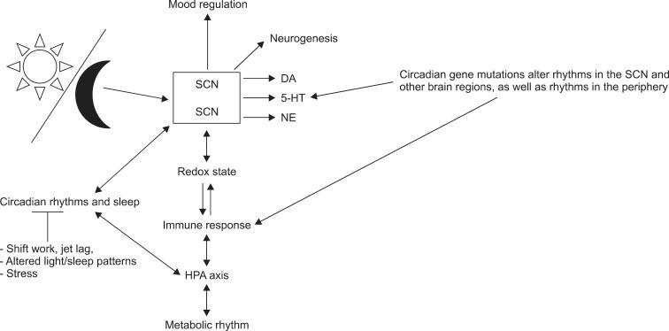 https://cdn.ncbi.nlm.nih.gov/pmc/blobs/bb1d/4742607/8abff152ae7b/cmj-52-18-g005.jpg