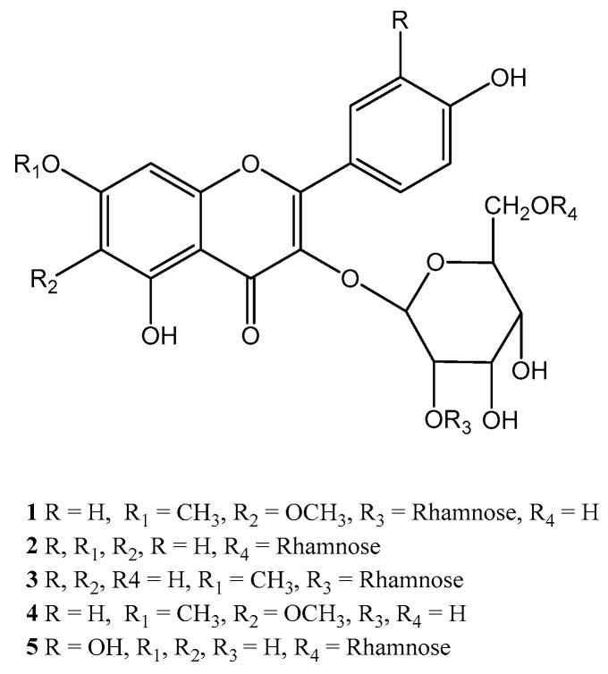 https://cdn.ncbi.nlm.nih.gov/pmc/blobs/bb20/11314016/5bd9f1711cb5/molecules-29-03649-g001.jpg