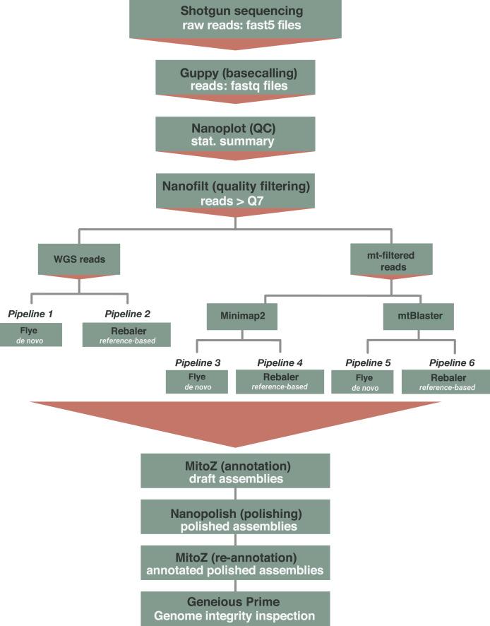 https://cdn.ncbi.nlm.nih.gov/pmc/blobs/bb22/11438440/c8a3f7dd7ede/peerj-12-17887-g002.jpg