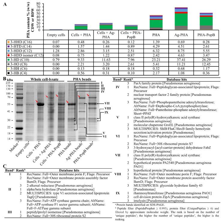 https://cdn.ncbi.nlm.nih.gov/pmc/blobs/bb22/8309987/daf0249f77cf/vaccines-09-00803-g003.jpg