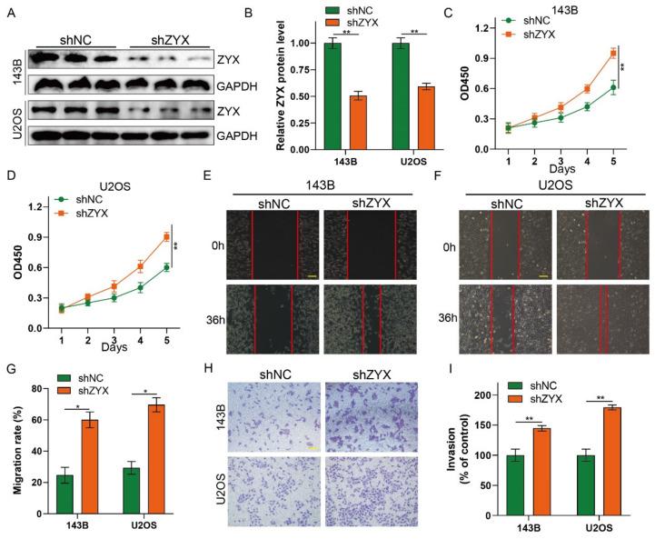https://cdn.ncbi.nlm.nih.gov/pmc/blobs/bb23/10452081/dc599dd0f6db/biomedicines-11-02314-g003.jpg