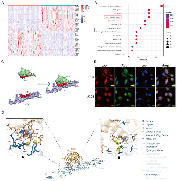 https://cdn.ncbi.nlm.nih.gov/pmc/blobs/bb23/10452081/f16d10a10b87/biomedicines-11-02314-g004.jpg