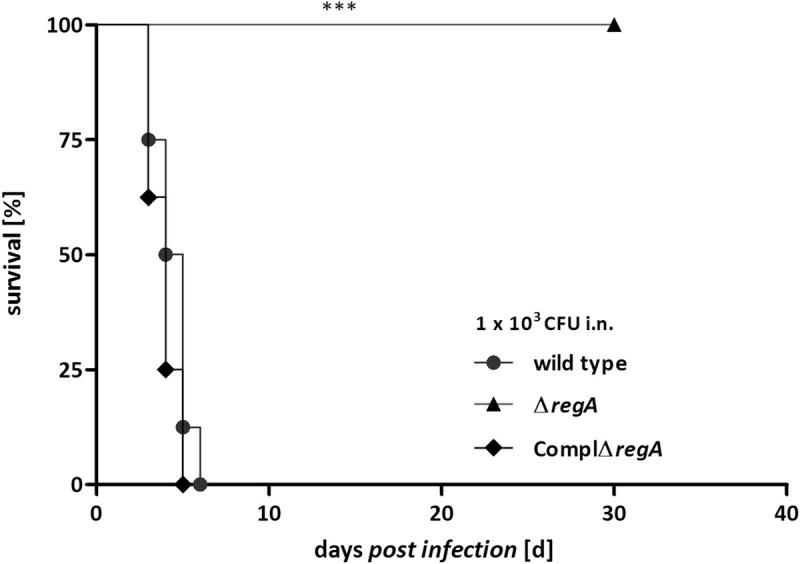 https://cdn.ncbi.nlm.nih.gov/pmc/blobs/bb23/8191878/c3eb99cd786d/ppat.1009604.g003.jpg