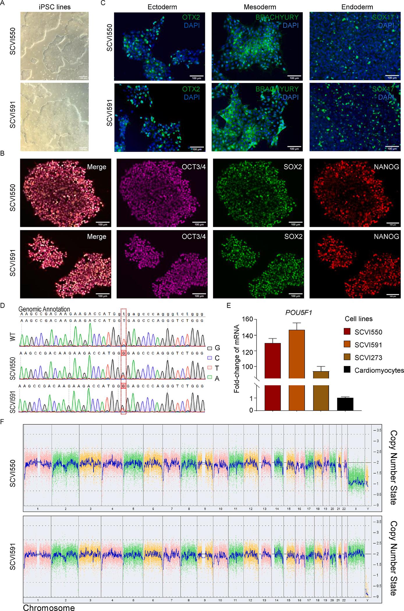 https://cdn.ncbi.nlm.nih.gov/pmc/blobs/bb23/9393020/f34f33e05cc1/nihms-1828256-f0001.jpg
