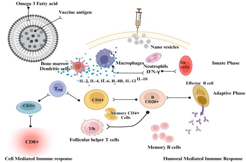 https://cdn.ncbi.nlm.nih.gov/pmc/blobs/bb25/10674458/29c54bdebc41/vaccines-11-01704-g004.jpg