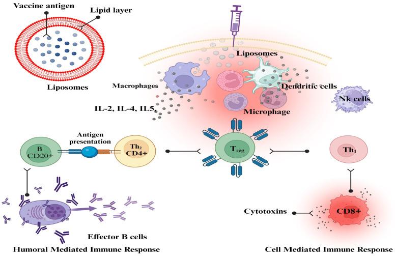https://cdn.ncbi.nlm.nih.gov/pmc/blobs/bb25/10674458/34e13b757ee1/vaccines-11-01704-g002.jpg