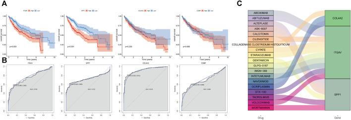 https://cdn.ncbi.nlm.nih.gov/pmc/blobs/bb25/10875080/170c836eeea7/fcell-12-1237445-g007.jpg