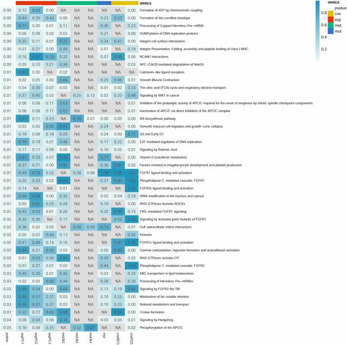 https://cdn.ncbi.nlm.nih.gov/pmc/blobs/bb25/10875080/251d745a852a/fcell-12-1237445-g001.jpg