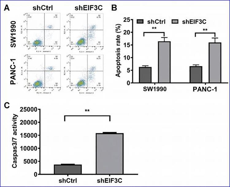 https://cdn.ncbi.nlm.nih.gov/pmc/blobs/bb26/7493259/94343e19adca/10.1177_1559325820950061-fig4.jpg