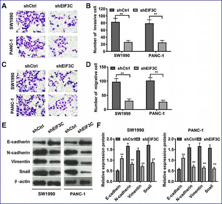 https://cdn.ncbi.nlm.nih.gov/pmc/blobs/bb26/7493259/c41b6dc5c258/10.1177_1559325820950061-fig6.jpg