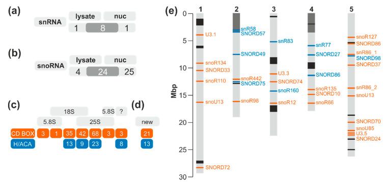 https://cdn.ncbi.nlm.nih.gov/pmc/blobs/bb27/7464842/55784786663b/plants-09-01016-g002.jpg
