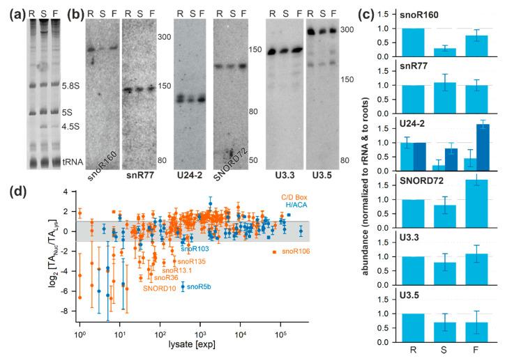 https://cdn.ncbi.nlm.nih.gov/pmc/blobs/bb27/7464842/c0e7d3a30c6b/plants-09-01016-g006.jpg